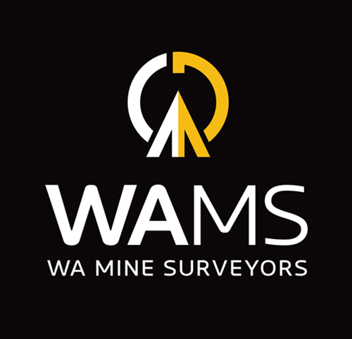 wams-logo-v-black-background-500px-x-500px